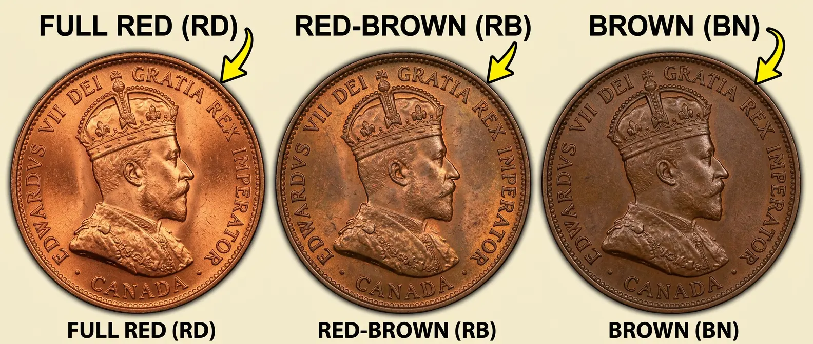 1902 Canadian Large Cent Value: What Is Your Penny Worth? (Price Guide ...