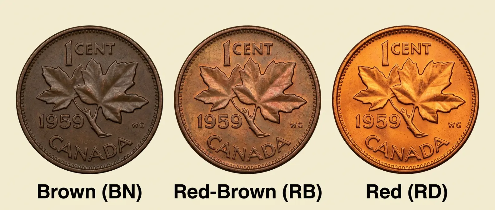 Penny Color 1959 Canadian Penny Value: What Is Your 1-Cent Coin Worth? (Price Guide ...