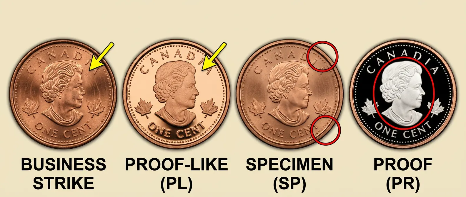 2009 Canadian Penny Value: Magnetic Vs. Non-Magnetic Cent Prices By ...